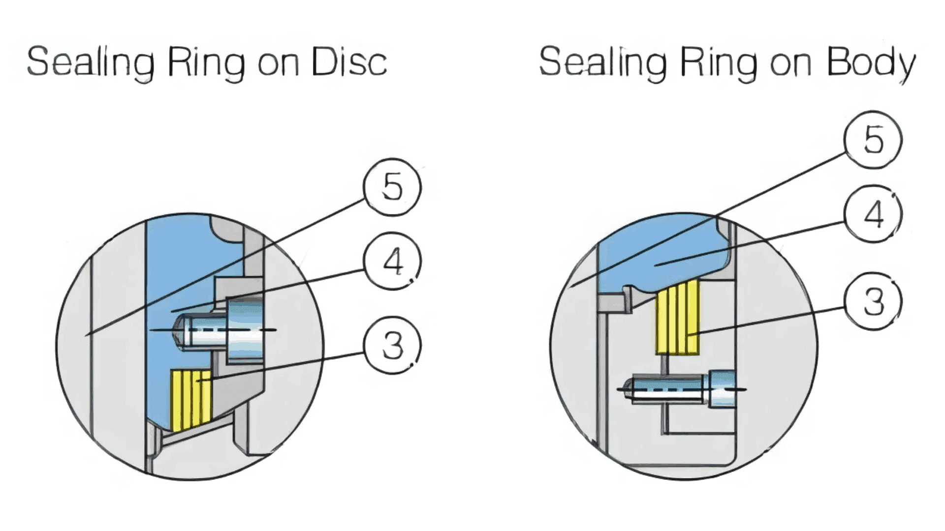 butterfly valve graph
